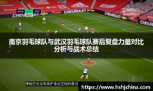 南京羽毛球队与武汉羽毛球队赛后复盘力量对比分析与战术总结