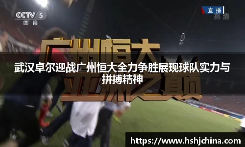 VSport胜利因您更精彩