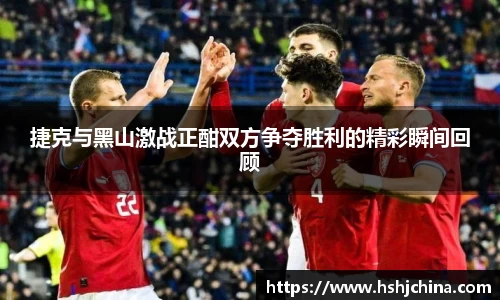 VSport胜利因您更精彩