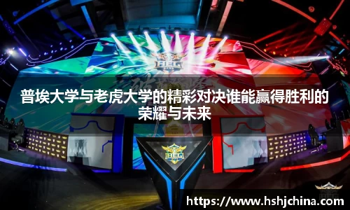 vsport体育